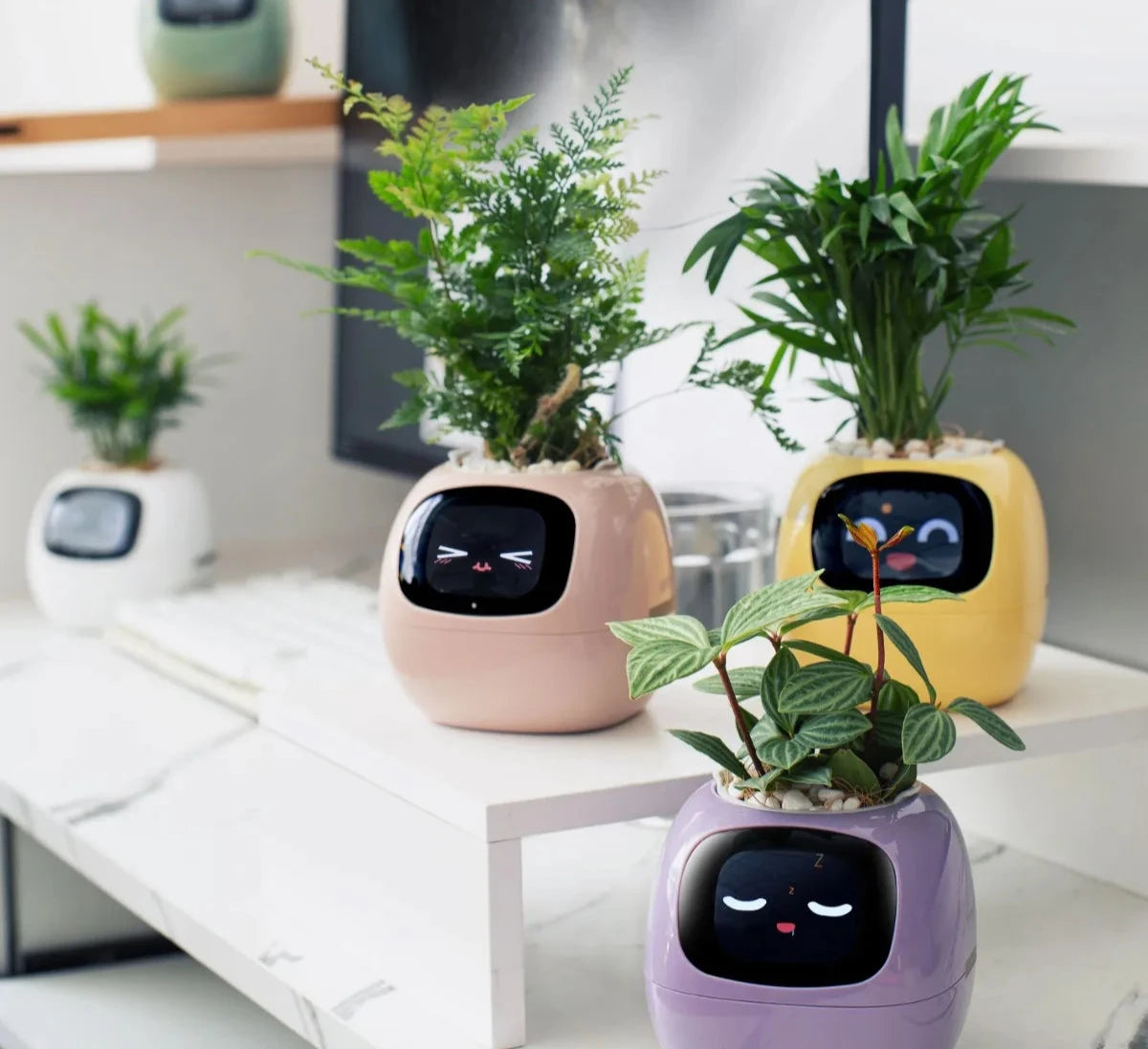 AI Smart Planter