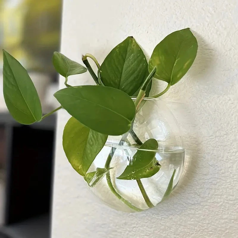 Wall Hanging Glass Planter