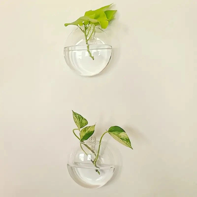 Wall Hanging Glass Planter