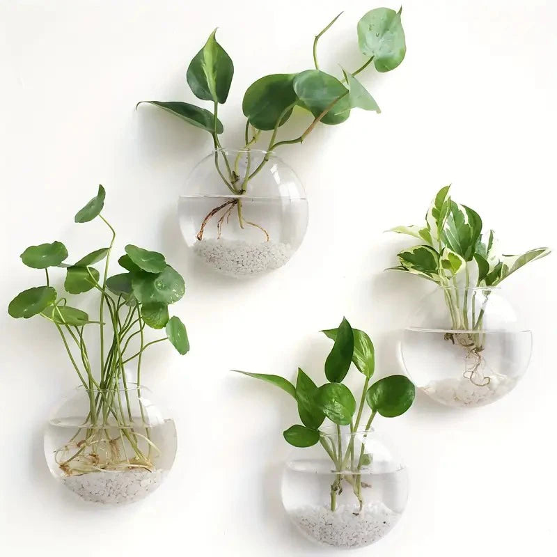 Wall Hanging Glass Planter