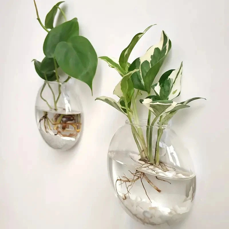 Wall Hanging Glass Planter