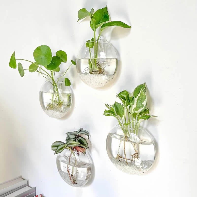 Wall Hanging Glass Planter