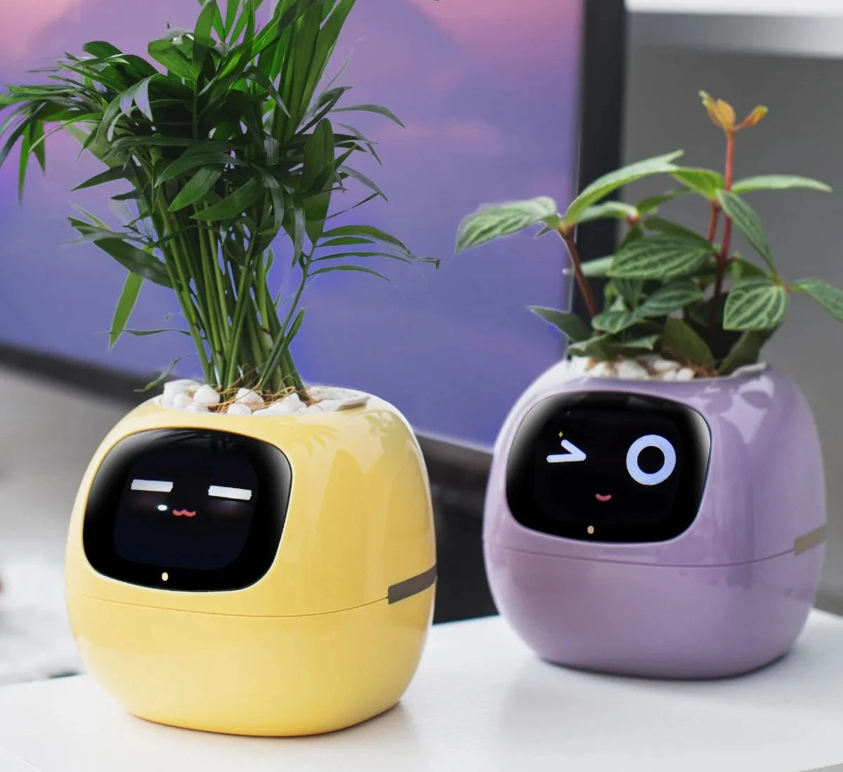 AI Smart Planter