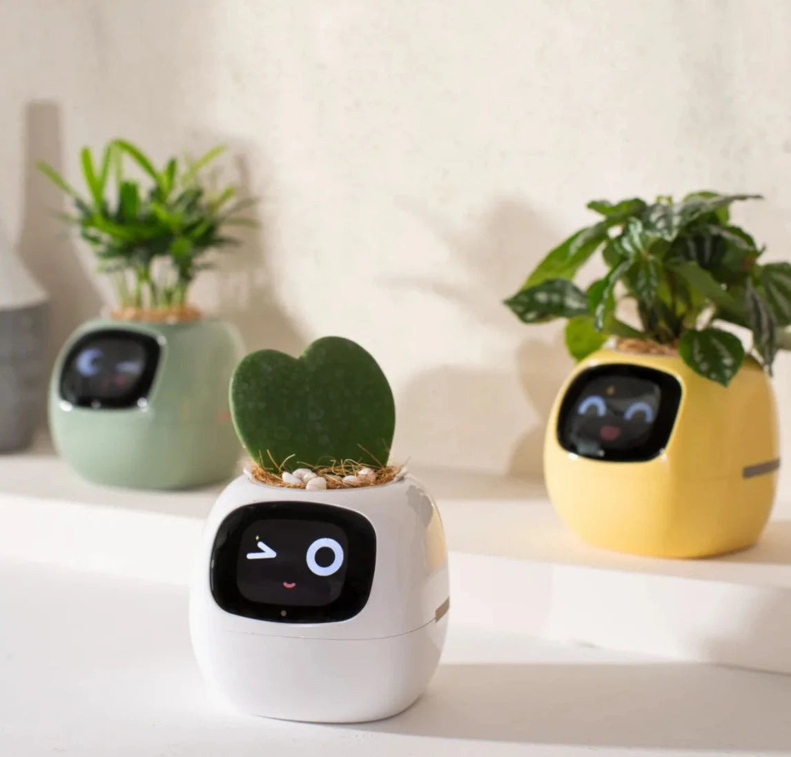 AI Smart Planter