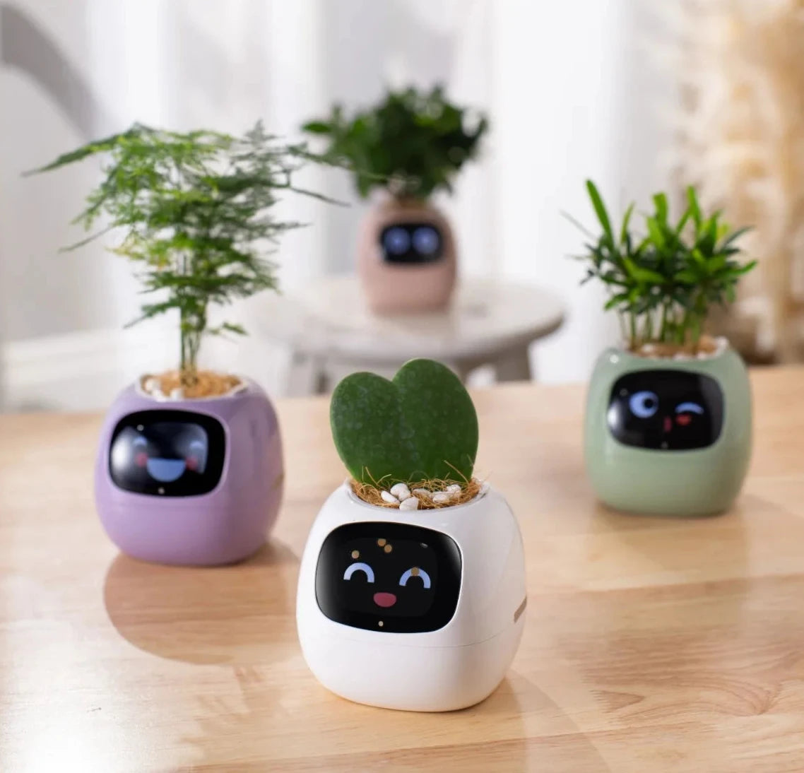 AI Smart Planter