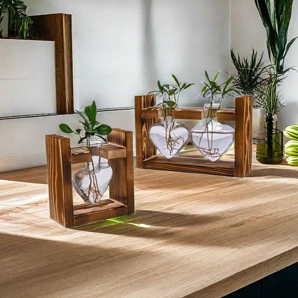 Heart Shaped Hydroponic Glass Plant Vases with Wooden Frame